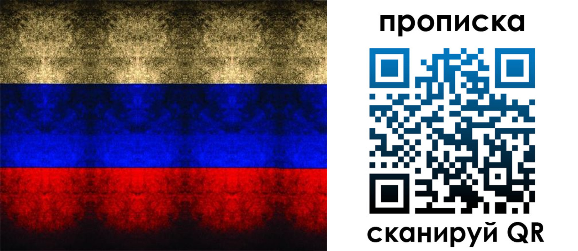 временная прописка в Кингисеппе