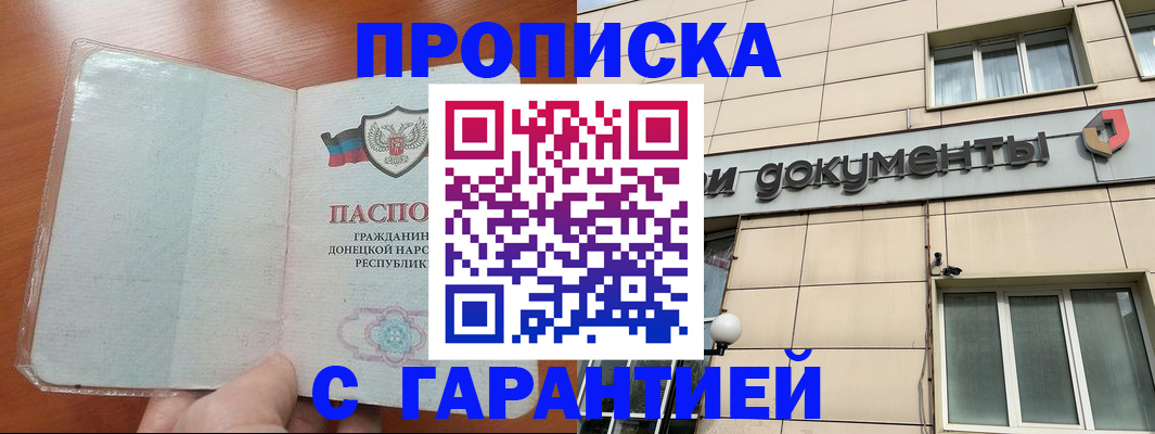 прописка законно в Кингисеппе